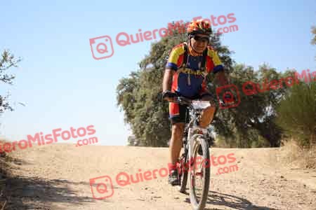PAULINO VICARIO SANTAMARIA Talajara 2015 27282