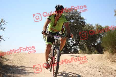 JOSE ALBERTO LOPEZ HERNANDEZ Talajara 2015 27342