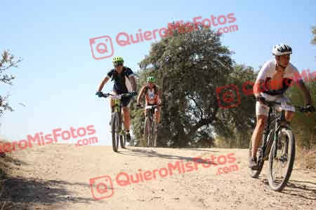 JOSE ANTONIO AMUEDO GONZALEZ Talajara 2015 27439