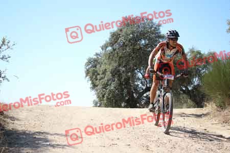 JOSE MARIA TORRECILLA ROJAS Talajara 2015 27457