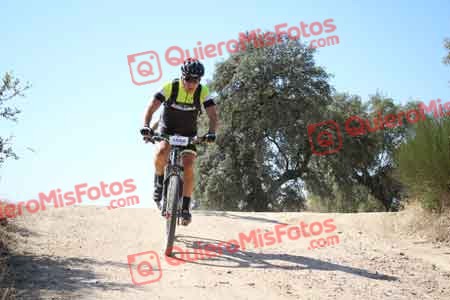JAVIER VERGES ROGER Talajara 2015 27465
