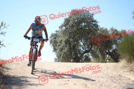 GUSTAVO VICENTE ROBLEDILLO Talajara 2015 27466