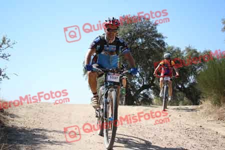 LUIS DE LA PUENTE Talajara 2015 27502