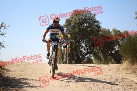 MATIAS LOARCES UBEDA Talajara 2015 27538