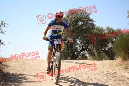 MATIAS LOARCES UBEDA Talajara 2015 27539