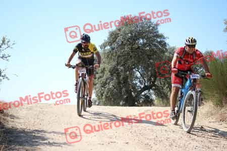 MIGUEL HERNANDEZ ESTERAS Talajara 2015 27560