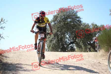 MIGUEL HERNANDEZ ESTERAS Talajara 2015 27561