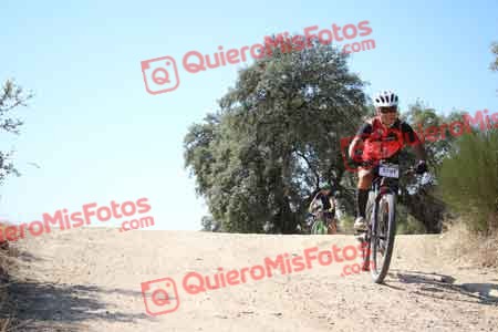 JESUS SERRANO MARTINEZ Talajara 2015 27562