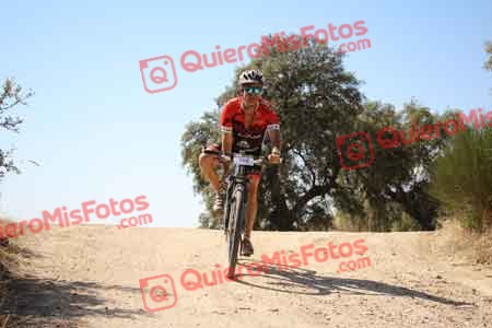 JOSE FRANCISCO MONTEJANO PEREZ Talajara 2015 27571