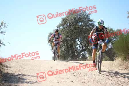 ALBERTO PINGARRON MORILLO Talajara 2015 27640