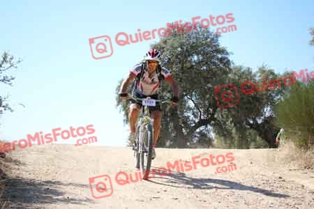 JOSE LUIS DE LA CALLE GALINDO Talajara 2015 27653