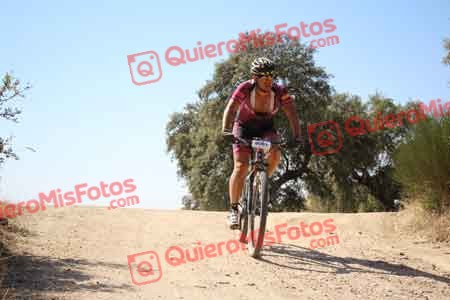 RAFAEL DE MIGUEL PARIENTE Talajara 2015 27672