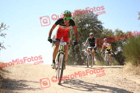 JUAN EMILIO REVILLA SANZ-VIVEROS Talajara 2015 27677