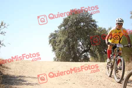 GREGORIO RODELGO ROLDAN Talajara 2015 27691