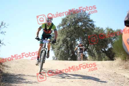 GUILLERMO MARTIN BUSTAMANTE Talajara 2015 27704