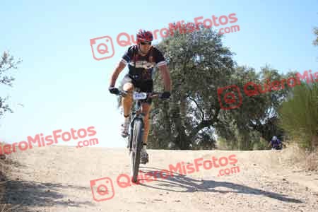 FRANCISCO QUINTANA GOMEZ Talajara 2015 27705