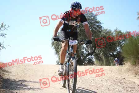 FRANCISCO QUINTANA GOMEZ Talajara 2015 27706