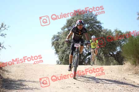 MARCOS HERRERO FERNANDEZ Talajara 2015 27838