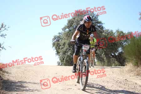 MARCOS HERRERO FERNANDEZ Talajara 2015 27839