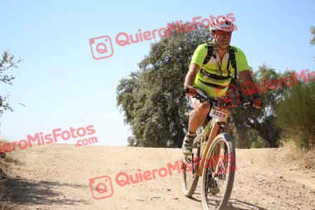 PEDRO ANTONIO BLANCO VEGA Talajara 2015 27841