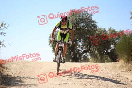 FERNANDO GONZALEZ VIVAS Talajara 2015 27854
