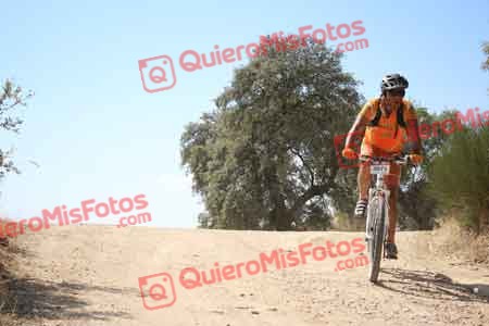 JOSE MARIA VAZQUEZ VAZQUEZ Talajara 2015 28002