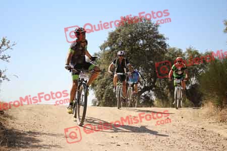 JAVIER GRANADOS MIRON Talajara 2015 28003