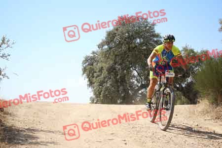 SERGIO GARCIA FUILLERAT Talajara 2015 28106