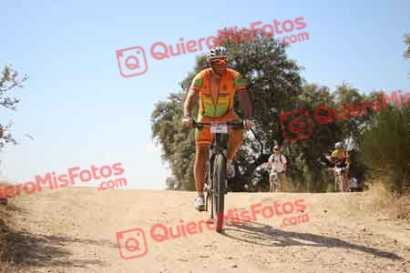 FRANCISCO MURILLO PEREZ Talajara 2015 28135