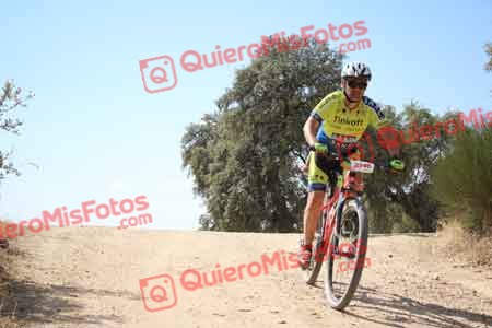 JOSE ANTONIO MARTIN GOMEZ Talajara 2015 28191