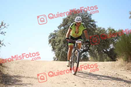 GERARDO LOPEZ HERNANDEZ Talajara 2015 28208
