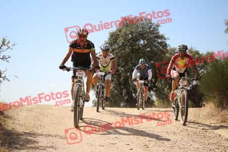 JUAN SANCHEZ GALAN Talajara 2015 28212