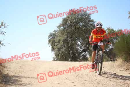 JAVIER PALOU DIAZ Talajara 2015 28217