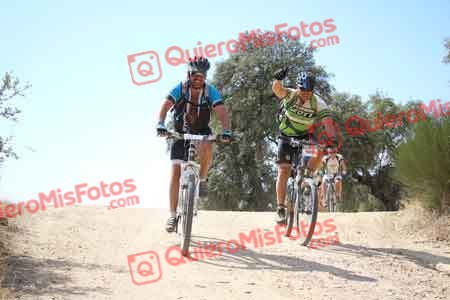 JUAN ANTONIO ARROBA COBO Talajara 2015 28307
