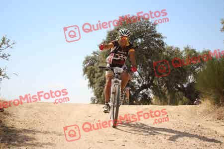 JESUS LOBO TORRE Talajara 2015 28322