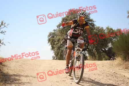 JESUS LOBO TORRE Talajara 2015 28323