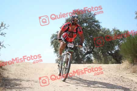 ANTONIO ORTEGA SANCHEZ Talajara 2015 28373