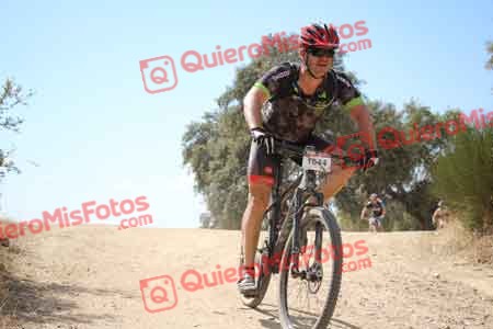 JOSE MANUEL RUIZ MARTIN Talajara 2015 28423