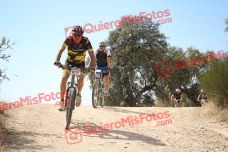 RAUL TORRES AGUDO Talajara 2015 28464