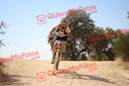 ROBERTO MARTIN ESTEBAN Talajara 2015 28477