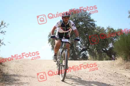 JUAN CARLOS GONZALEZ MATEO Talajara 2015 28524