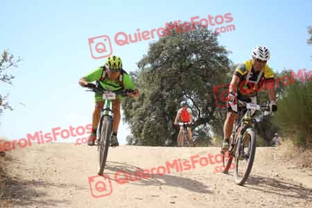 JUAN LUIS MARTIN FLORIDO Talajara 2015 28526