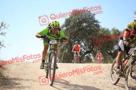 JUAN LUIS MARTIN FLORIDO Talajara 2015 28527
