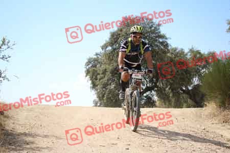 JOSE IGNACIO UBEDA MARTIN Talajara 2015 28568