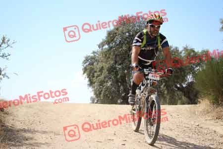 JOSE IGNACIO UBEDA MARTIN Talajara 2015 28569