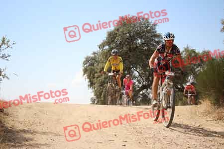 JOSE MARIA MARTINEZ MONTERO Talajara 2015 28583