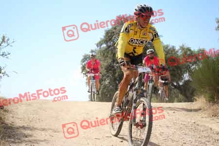 JOSE JAVIER NAVARRO HERNANDEZ Talajara 2015 28585
