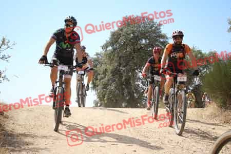 SERGIO SALAZAR SANCHEZ Talajara 2015 28716