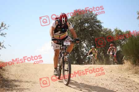 SERGIO SALAZAR SANCHEZ Talajara 2015 28720