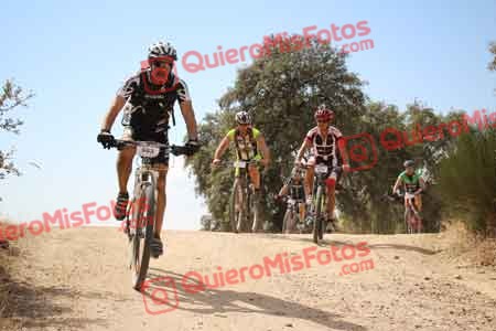JOSE LUIS SALGADO VEGA Talajara 2015 28721